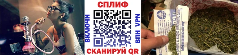 Купить  Тында  Бошки Шишки индика 